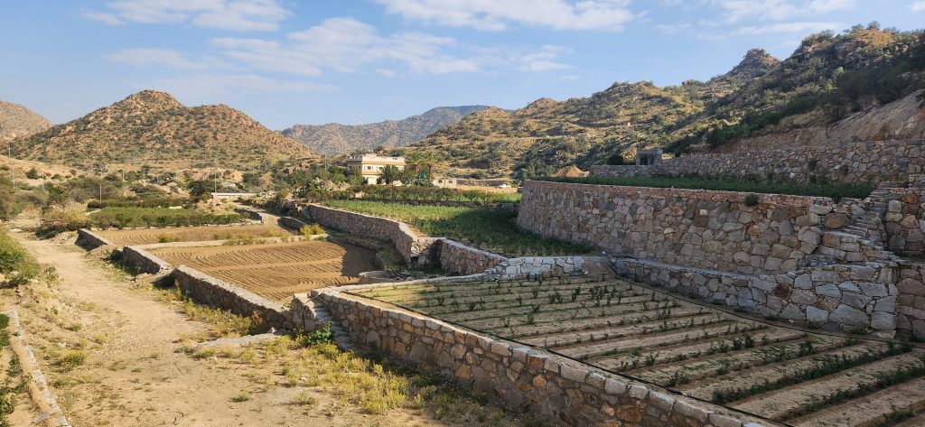 Ancient stone terraces in Saudi Arabia's Asir Mountains showcasing enduring farming traditions amidst rugged hills and a clear blue sky.